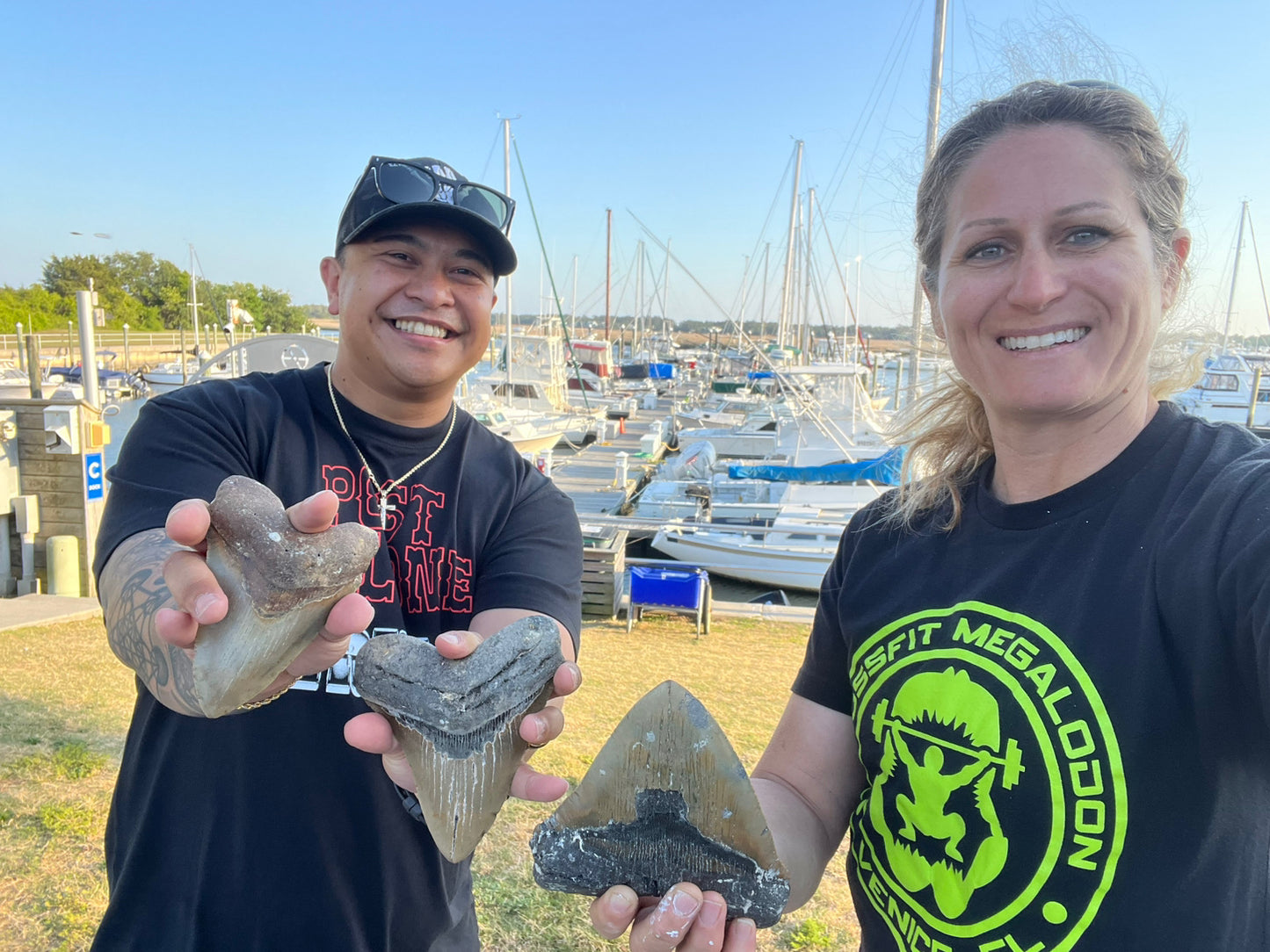 5.97” Megalodon Tooth from a 59’ prehistoric shark! Collector high grade!