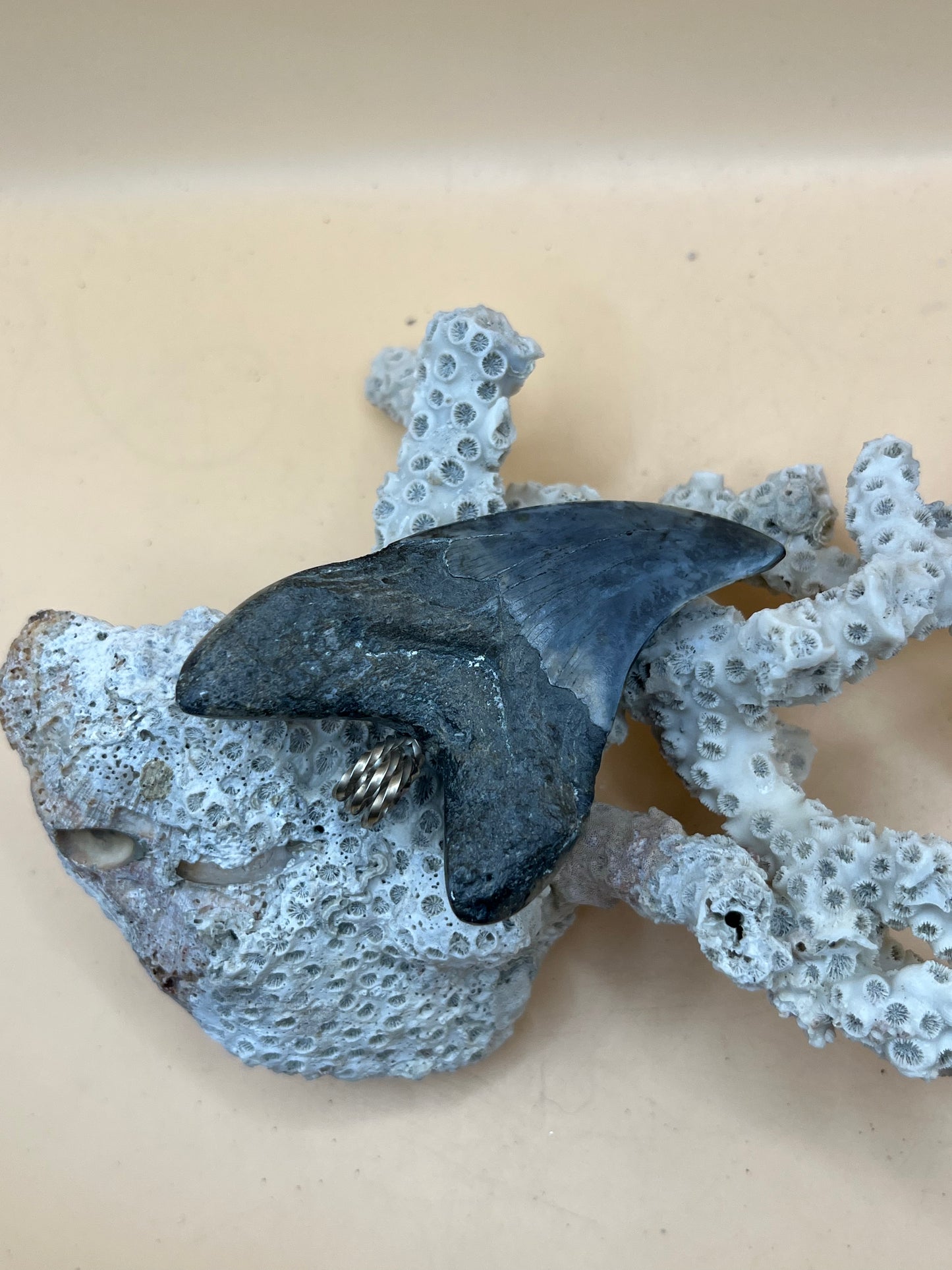 2.8” diver found Benedini inlaid with gems & polished.